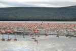 Lake Nakuru