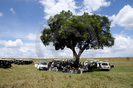 Safari-Picknick