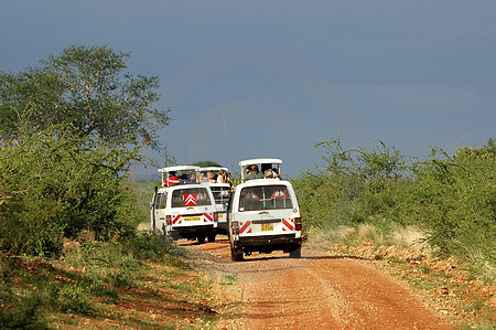 Safari-Busse