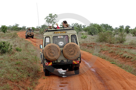 Safari-Autos