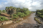 Mara River