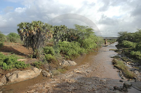 Mara River