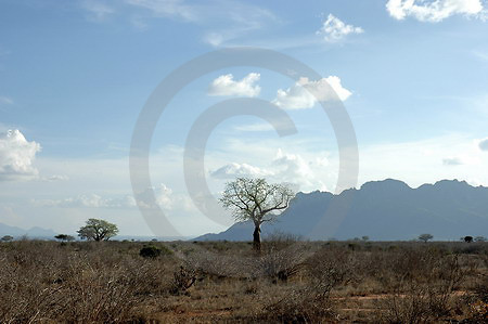 Nationalpark Tsavo West