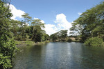 Mzima Springs