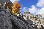 Wandern im Rosengarten