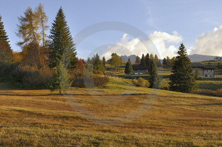 Abendstimmung auf der Seiser Alm, Blick zu den Rosszaehnen