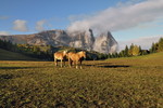 Seiser Alm gegen Schlern