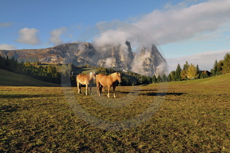 Seiser Alm gegen Schlern