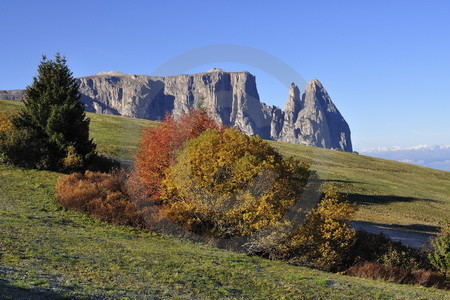 Seiser Alm mit Schlern