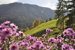 Herbstlandschaft im Tierser Tal