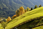 Herbstlandschaft im Tierser Tal