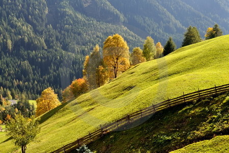 Herbstlandschaft im Tierser Tal