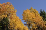 Herbst im Grödnertal