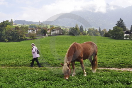 Seis am Schlern