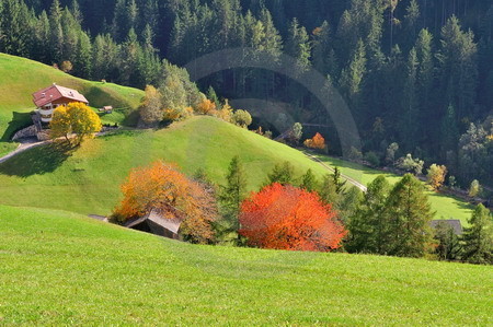 Herbstlandschaft im Tierser Tal