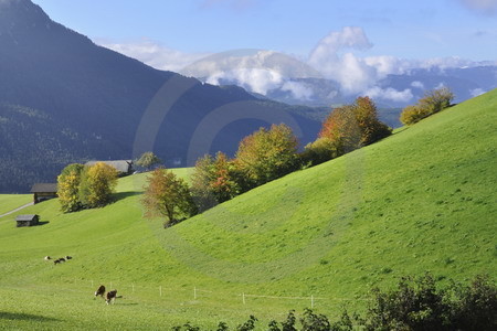 Herbstlandschaft