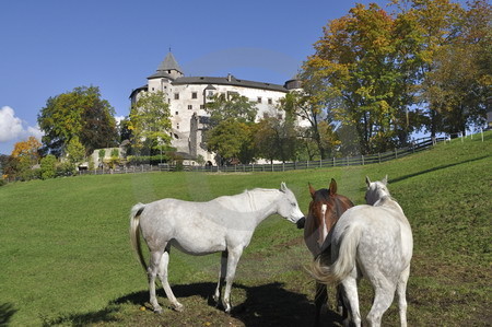 Schloss Proesels