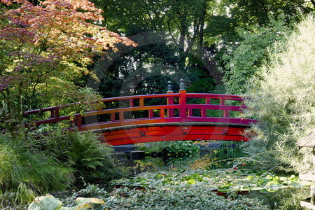 Japanischer Garten