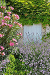 Provence-Impressionen