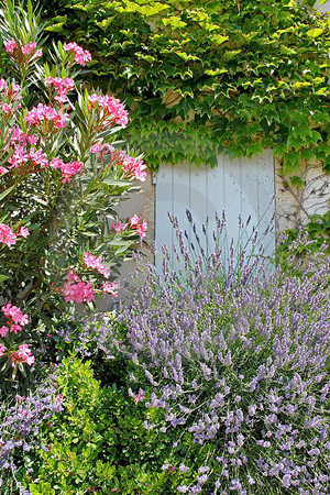 Provence-Impressionen