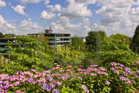 Hotelanlage Haus Deutsch Krone in Bad Essen