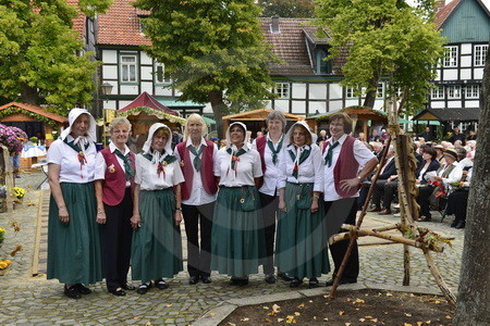 Historischer Markt 2012 in Bad Essen