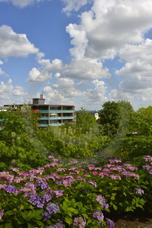 Hotelanlage Haus Deutsch Krone in Bad Essen