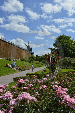 Rosengarten in Bad Rothenfelde