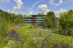 Hotelanlage Haus Deutsch Krone in Bad Essen