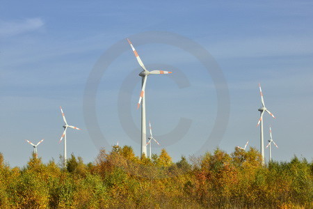 Naturpark Burtanger Moor-Bargerveen