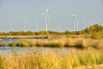 Naturpark Burtanger Moor-Bargerveen