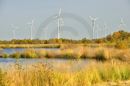 Naturpark Burtanger Moor-Bargerveen