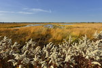 Landschaft im Naturpark Burtanger Moor-Bargerveen