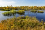 Landschaft im Naturpark Burtanger Moor-Bargerveen