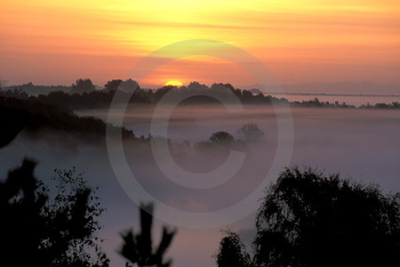 Morgennebel am Darss