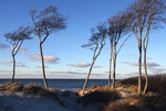 Landschaft am Darsser Weststrand