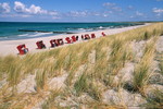 Ostseestrand bei Ahrenshoop