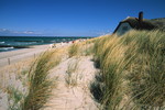 Ostseestrand bei Ahrenshoop