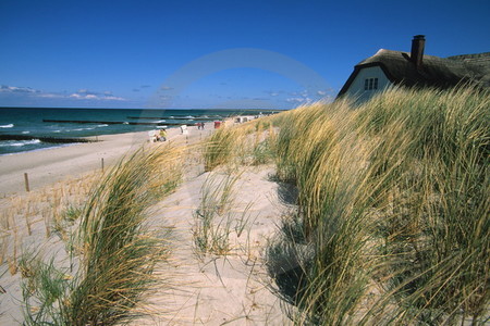 Ostseestrand bei Ahrenshoop