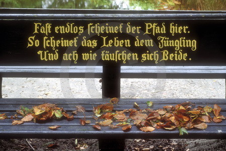 Sinnspruch