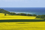 Ostseeküste am Kap Arkona