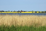 Am Breeger Bodden