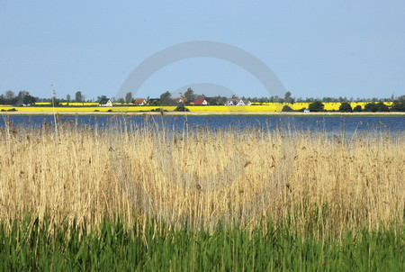 Am Breeger Bodden