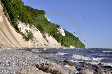 Kreidefelsen mit Koenigsstuhl