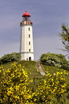 Leuchtturm am Dornbusch