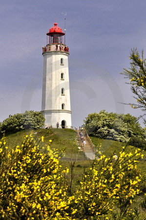 Leuchtturm am Dornbusch