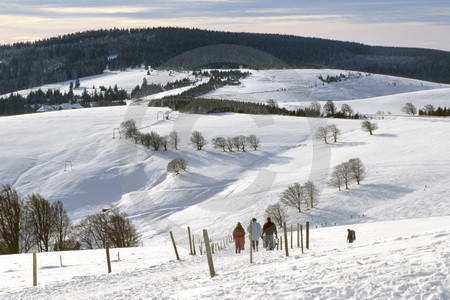 Winter auf dem Schauinsland.