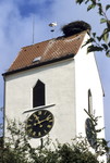 Storchennest in Freiburg-Opfingen