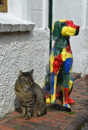Hund und Katze