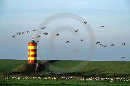 D/Niedersachsen/Ostfriesland/Krummhörn/Pilsum